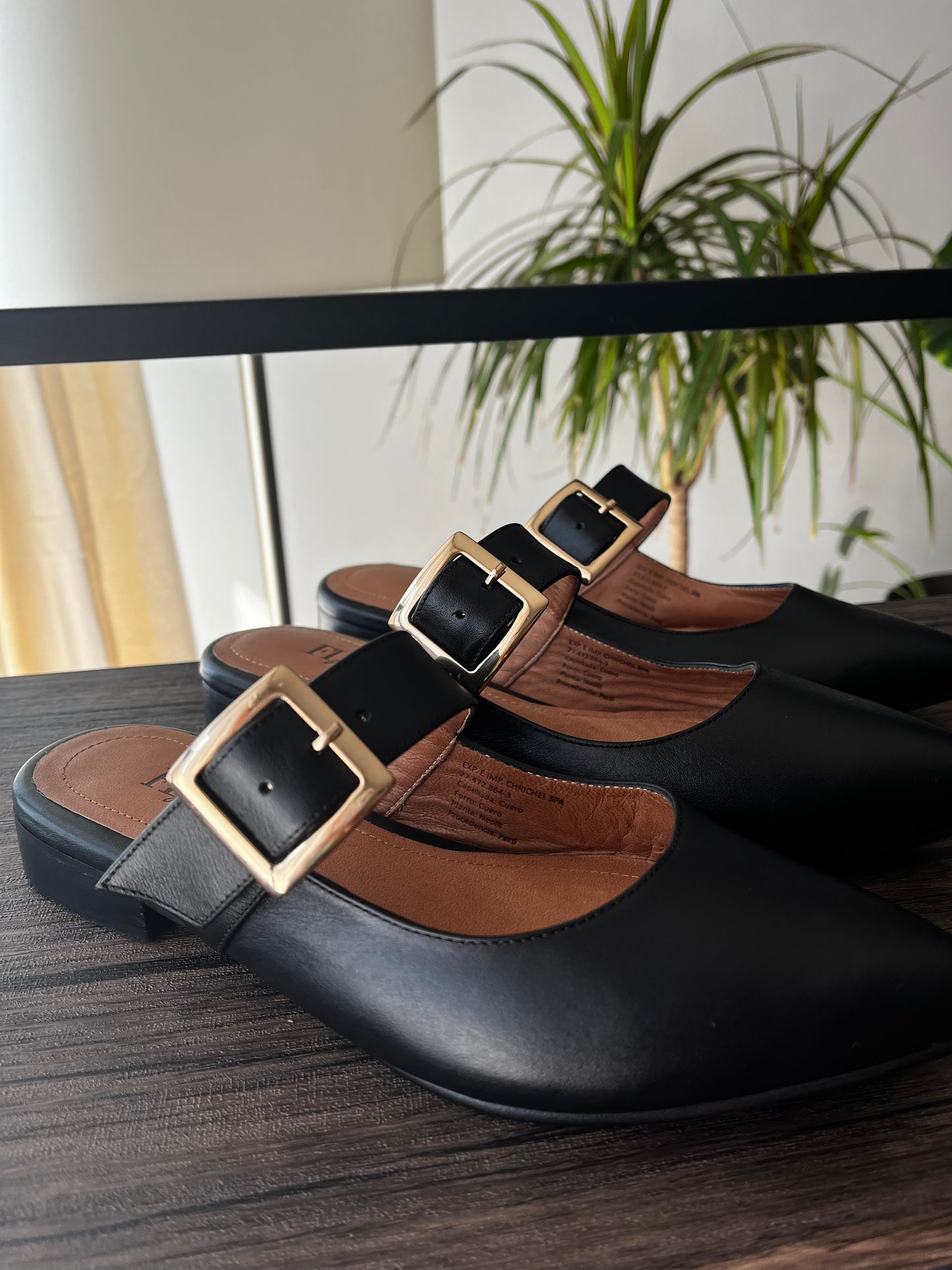 Mules Celine Negro